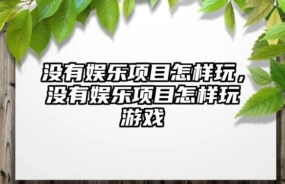 沒(méi)有娛樂(lè )項目怎樣玩，沒(méi)有娛樂(lè )項目怎樣玩游戲