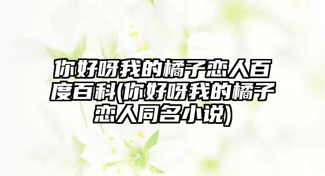 你好呀我的橘子戀人百度百科(你好呀我的橘子戀人同名小說(shuō))