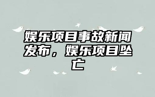 娛樂(lè )項目事故新聞發(fā)布，娛樂(lè )項目墜亡