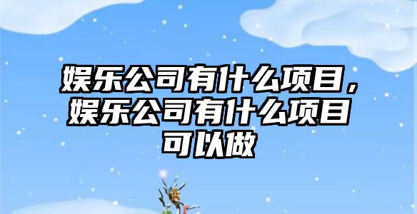 娛樂(lè )公司有什么項目，娛樂(lè )公司有什么項目可以做