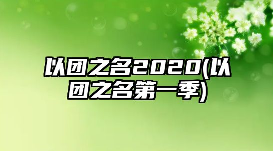 以團之名2020(以團之名第一季)