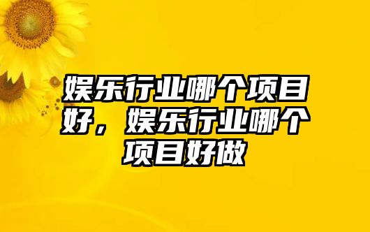 娛樂(lè )行業(yè)哪個(gè)項目好，娛樂(lè )行業(yè)哪個(gè)項目好做