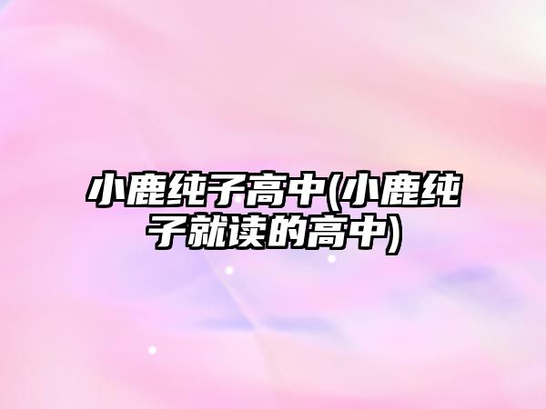 小鹿純子高中(小鹿純子就讀的高中)