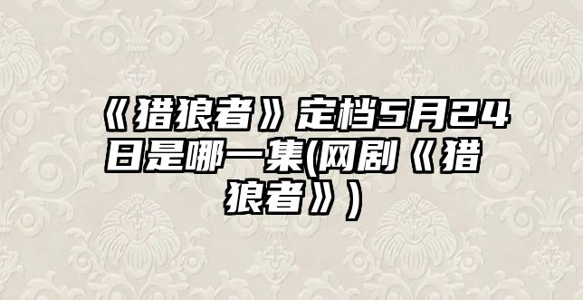 《獵狼者》定檔5月24日是哪一集(網(wǎng)劇《獵狼者》)