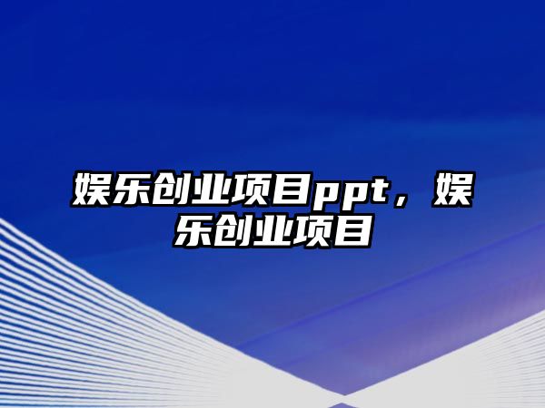 娛樂(lè )創(chuàng  )業(yè)項目ppt，娛樂(lè )創(chuàng  )業(yè)項目