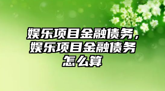 娛樂(lè )項目金融債務(wù)，娛樂(lè )項目金融債務(wù)怎么算