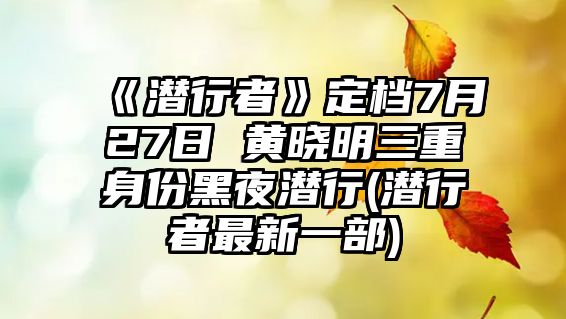 《潛行者》定檔7月27日 黃曉明三重身份黑夜潛行(潛行者最新一部)