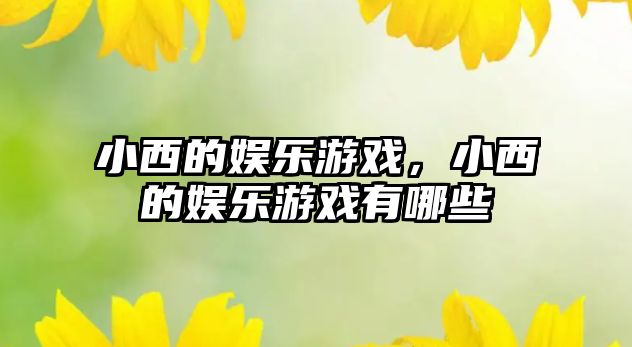 小西的娛樂(lè )游戲，小西的娛樂(lè )游戲有哪些