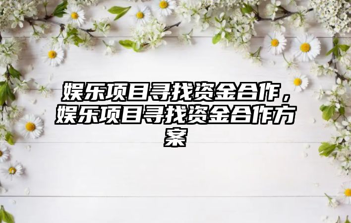 娛樂(lè )項目尋找資金合作，娛樂(lè )項目尋找資金合作方案