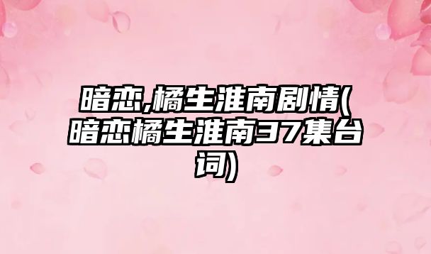 暗戀,橘生淮南劇情(暗戀橘生淮南37集臺詞)