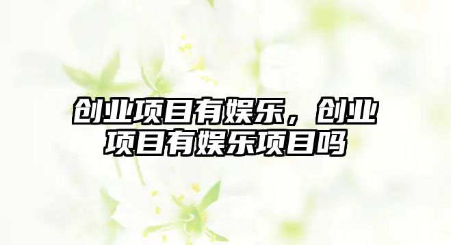 創(chuàng  )業(yè)項目有娛樂(lè )，創(chuàng  )業(yè)項目有娛樂(lè )項目嗎