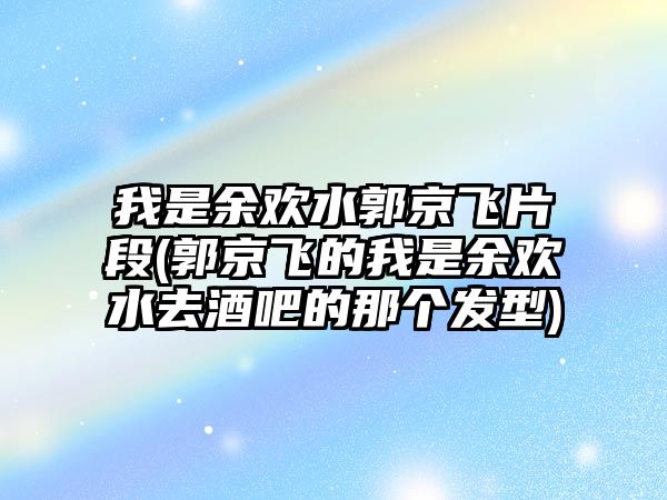 我是余歡水郭京飛片段(郭京飛的我是余歡水去酒吧的那個(gè)發(fā)型)