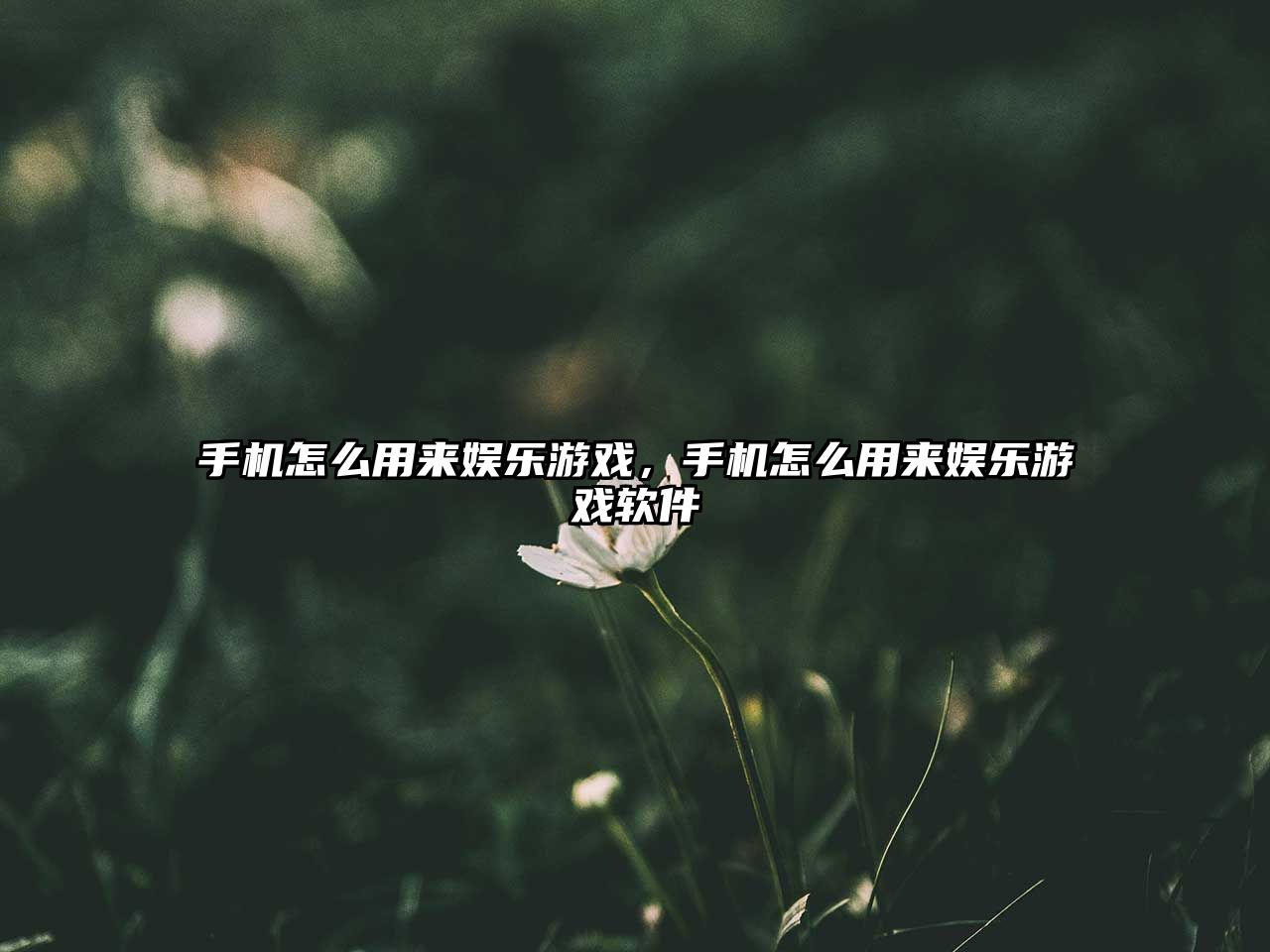 手機怎么用來(lái)娛樂(lè )游戲，手機怎么用來(lái)娛樂(lè )游戲軟件