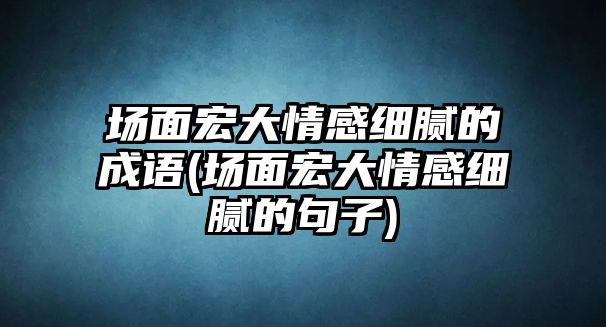 場(chǎng)面宏大情感細膩的成語(yǔ)(場(chǎng)面宏大情感細膩的句子)