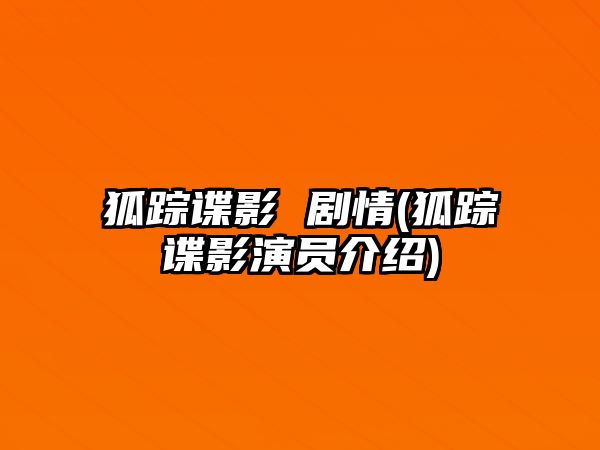 狐蹤諜影 劇情(狐蹤諜影演員介紹)