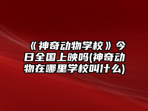 《神奇動(dòng)物學(xué)?！方袢杖珖嫌硢?神奇動(dòng)物在哪里學(xué)校叫什么)