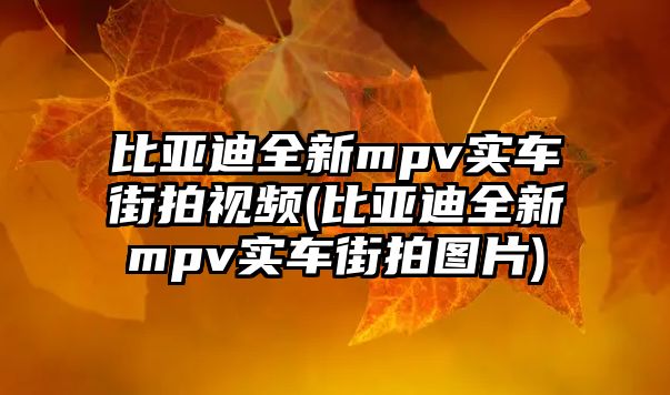 比亞迪全新mpv實(shí)車(chē)街拍視頻(比亞迪全新mpv實(shí)車(chē)街拍圖片)