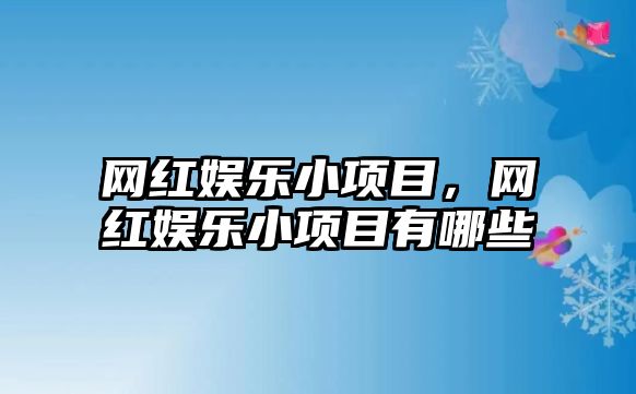 網(wǎng)紅娛樂(lè )小項目，網(wǎng)紅娛樂(lè )小項目有哪些