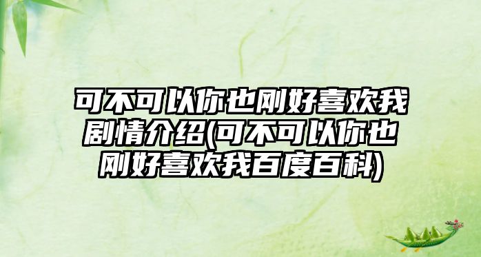 可不可以你也剛好喜歡我劇情介紹(可不可以你也剛好喜歡我百度百科)