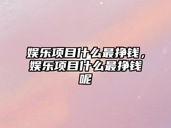 娛樂(lè )項目什么最掙錢(qián)，娛樂(lè )項目什么最掙錢(qián)呢