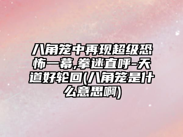 八角籠中再現超級恐怖一幕,拳迷直呼-天道好輪回(八角籠是什么意思啊)