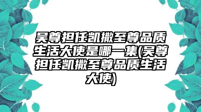 吳尊擔任凱撒至尊品質(zhì)生活大使是哪一集(吳尊擔任凱撒至尊品質(zhì)生活大使)